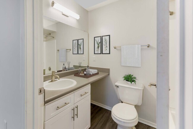 Southaven Pointe Apartments