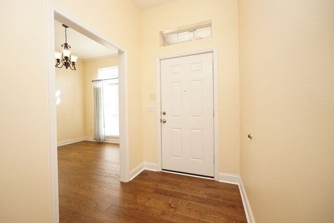 Photo - Shalimar Location