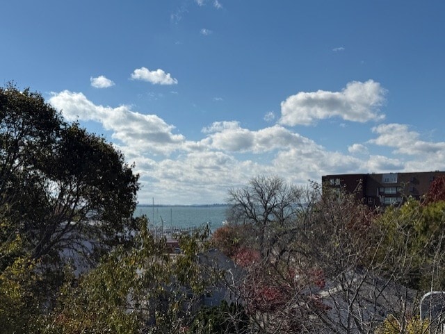 Photo - 14 Amity St Unit 2