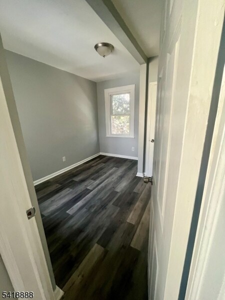 Photo - 95 Alexander St