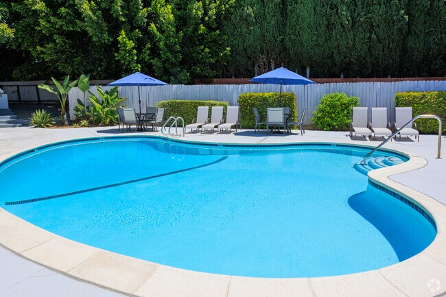 Pool - Malibu Apartments
