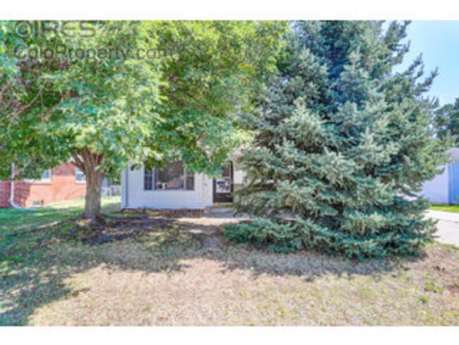 Building Photo - 2532 14th Ave Ct