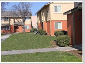 Photo - Bear Mountain