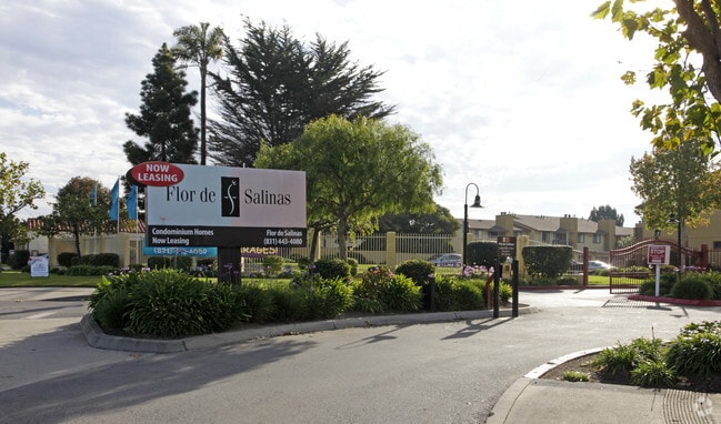 Photo - Laurel Grove