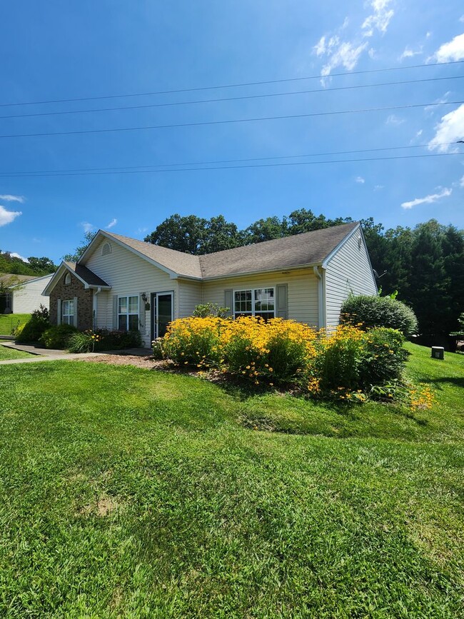 Black Mountain Townhome - Black Mountain Townhome