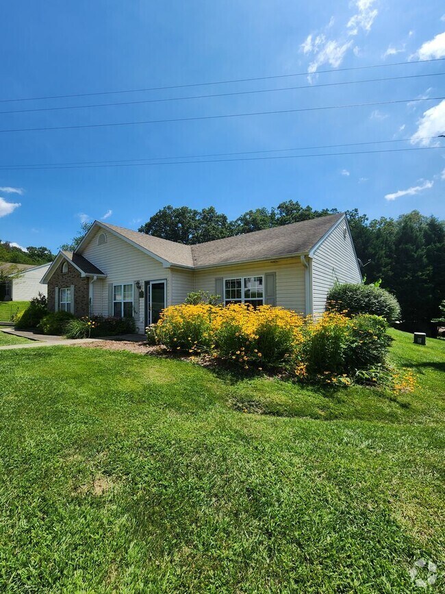 Building Photo - Black Mountain Townhome