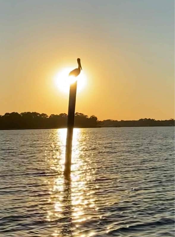 Photo - 4116 Perch Point Dr