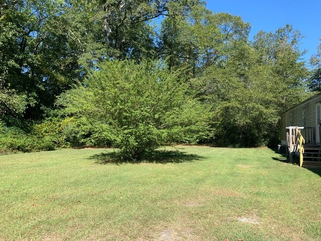 Photo - 209 McQueen St