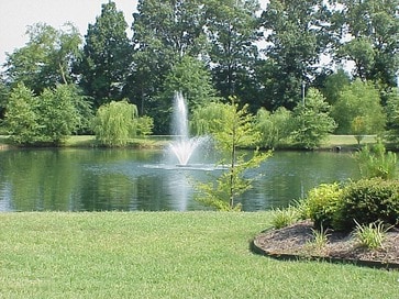 Pond - Park Lake