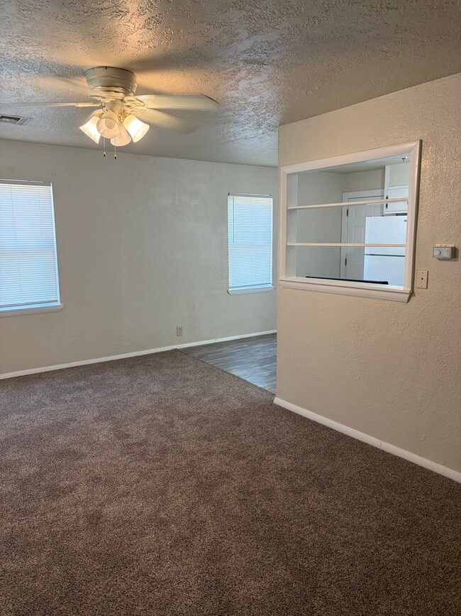Photo - 919 N University Blvd