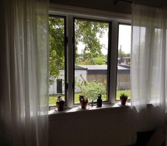 Sunroom full of morning light - 301 S West End Ave Unidad Apt 2