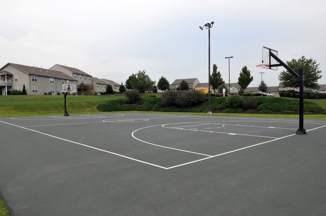 Basketball Court