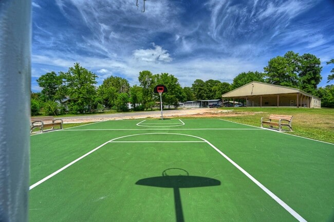 Photo - 9751 Black Gum