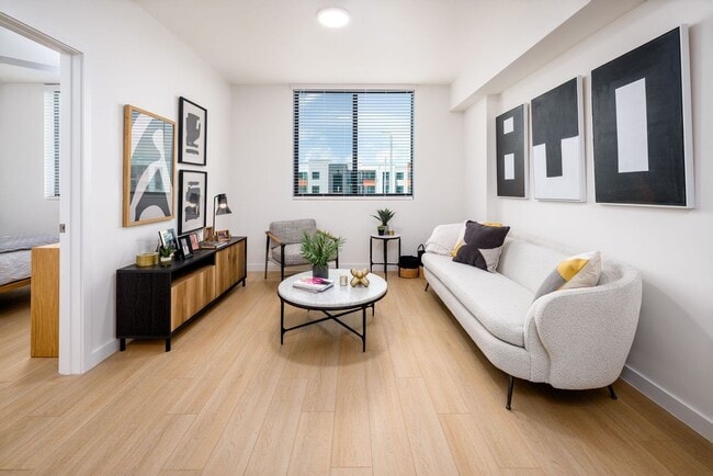 Living Room Area