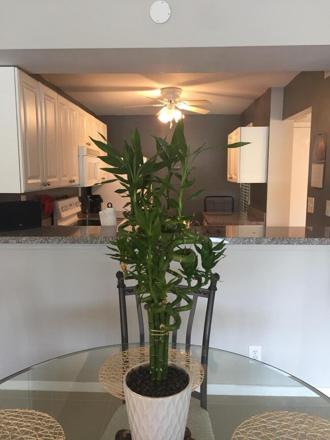 Photo - 10 Royal Palm Way Unit 2030