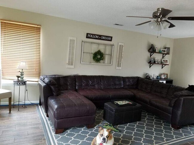 Photo - 2 E Dressage Ct