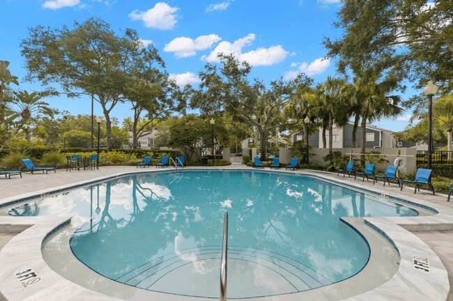 Building Photo - The Pointe at Carrollwood Rental