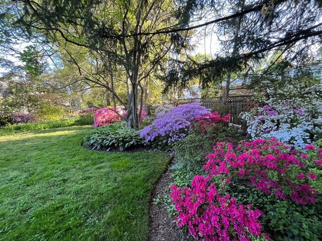 Photo - 6805 Millwood Rd