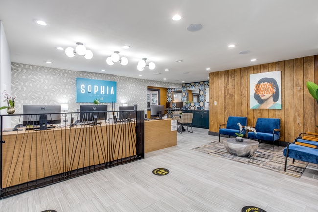 Photo - Sophia+Loren