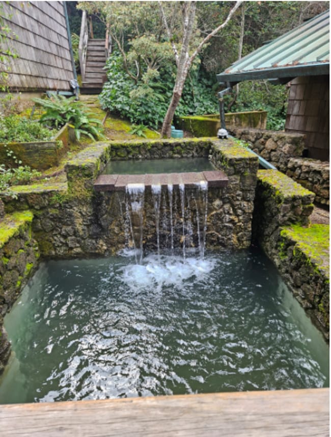 Photo - Stunning Architectural Masterpiece! 5BR+Yoga Studio/4.5BA! Ross! Views! Pool! Pet! Waterfalls! P...
