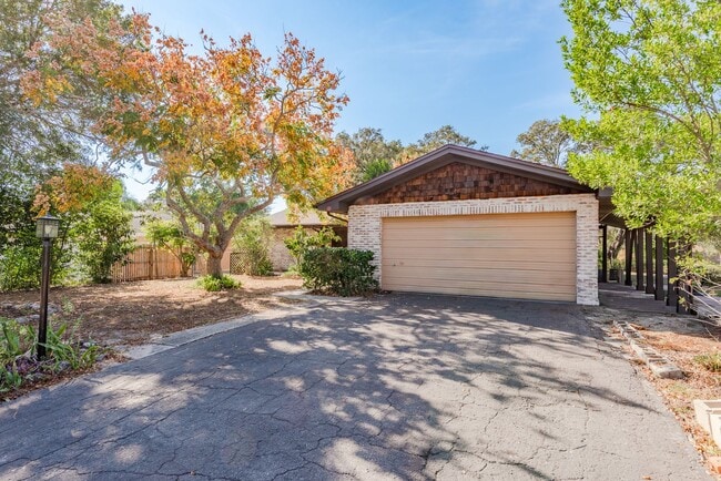 Photo - Carlton Road