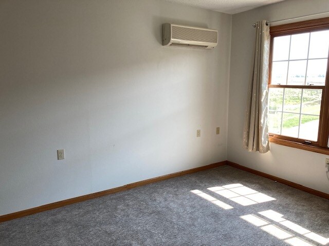 Photo - Woodland Park - Griswold