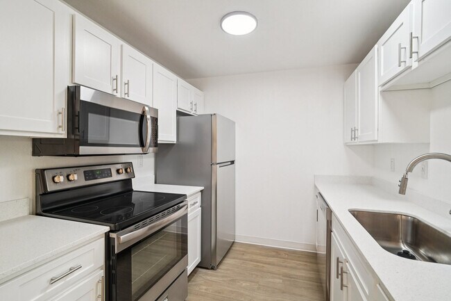 Photo - Plum Tree Park