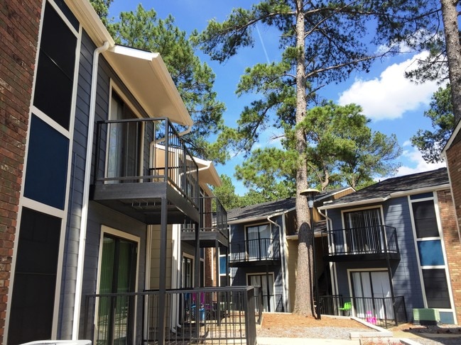 Photo - Spanish Willows