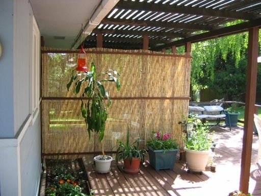 Photo - Comfy Studio for Rent