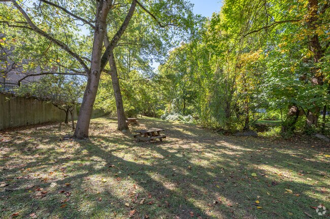 93 Richards Ave - Green Space
