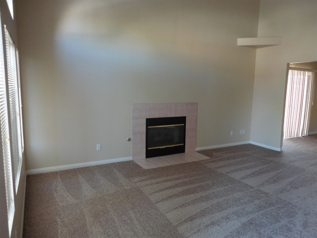 Photo - 207 Luninborg St