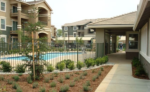Photo - Vineyard Point