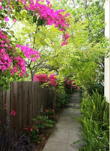 Building Photo - 1608 Cerro Gordo St Unit 1