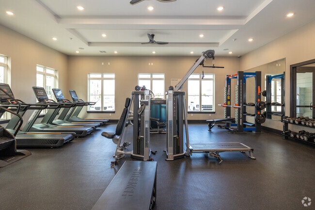 Gimnasio