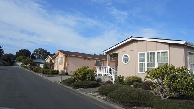 Ocean West - Ocean West Apartments