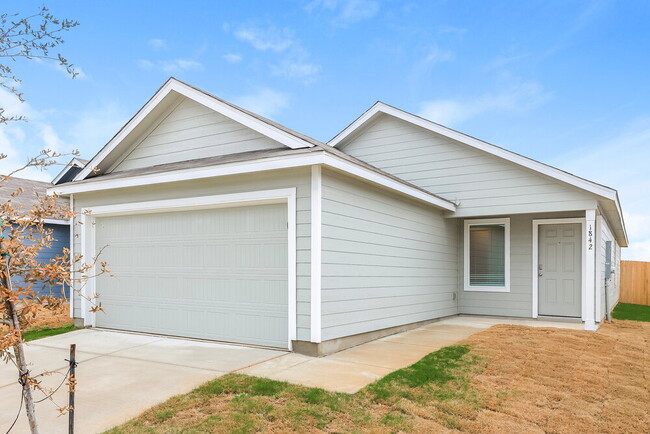 Photo - 1842 Musk Rose