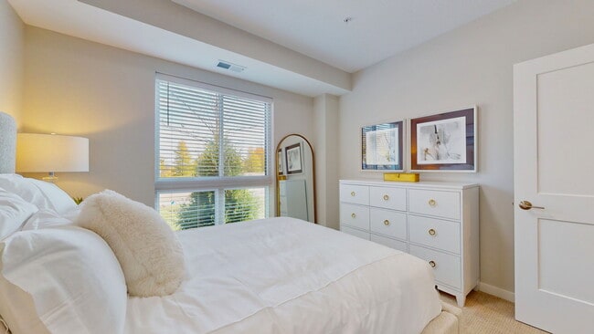 Photo - The Stax of Long Lake