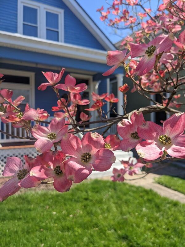 Photo - 3742 Kenilworth Pl