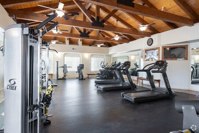 Gimnasio