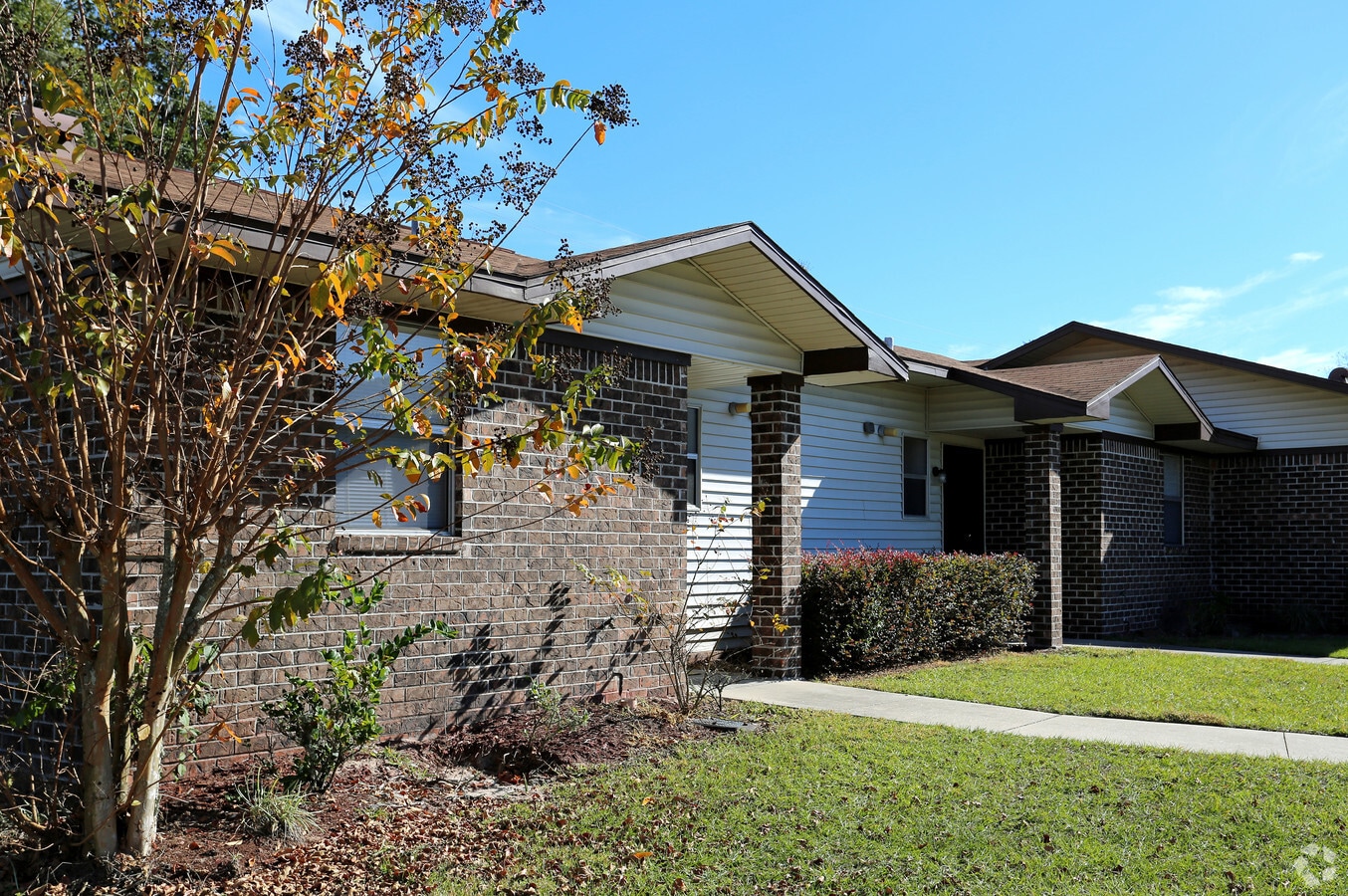 Palm Brook - Palm Brook