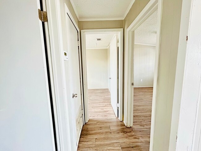 2 Bedroom Hallway - Tree House Apartments