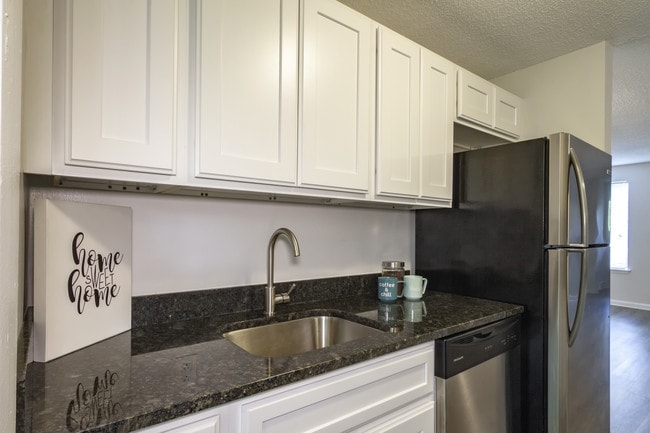 Kitchen - Newly Renovated - Briar Knoll Apts