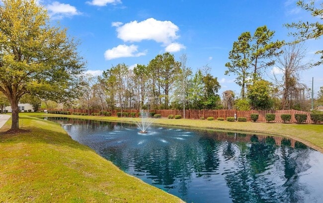 Pond with Fountain - 1631 Low Country Pl