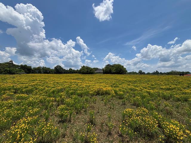 Photo - 3834 Fenley Flat Rd