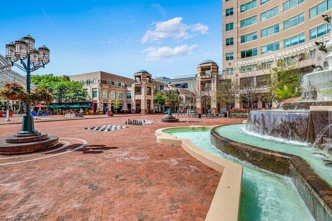 The Springs At Reston