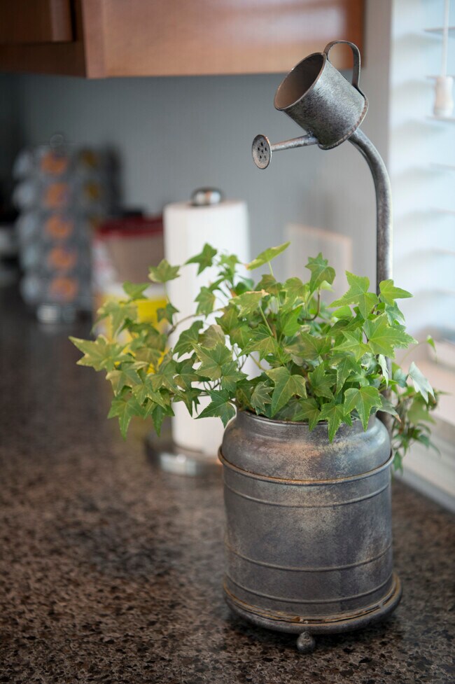 Photo - Eastway Court Apartments