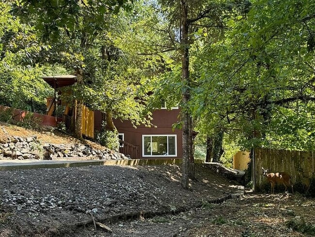 Building Photo - Luxury, Fully Remodeled South Hills Duplex with Forest Views