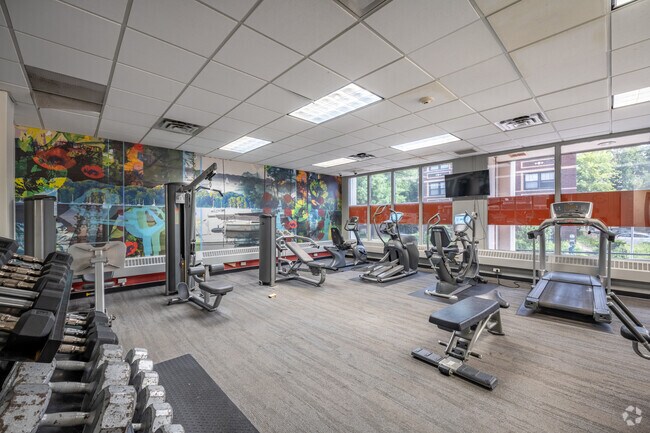 Gimnasio