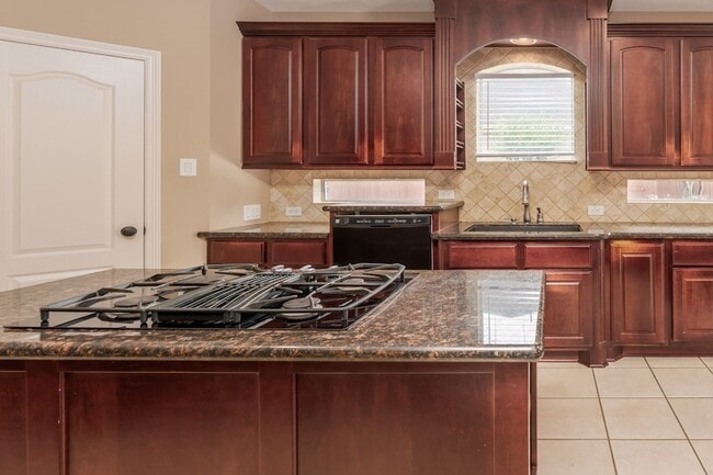 Photo - 12406 Santiago Cove Ln