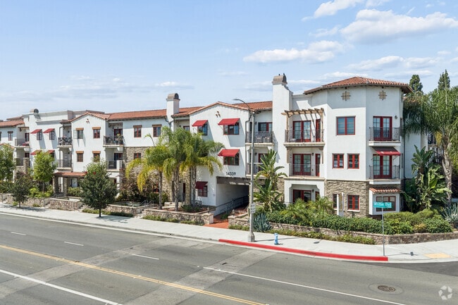 Building Photo - Catalina Luxury Apartments